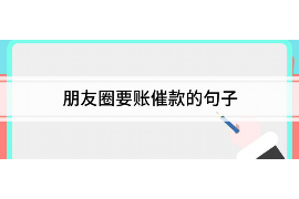 平原为什么选择专业追讨公司来处理您的债务纠纷？