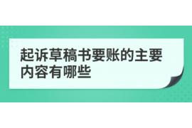 平原专业讨债公司有哪些核心服务？